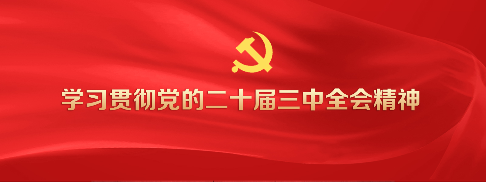 学习贯彻二十大